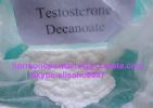 Testosterone Decanoate